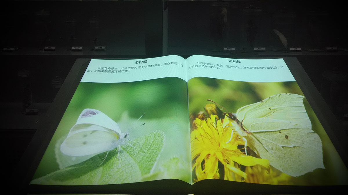 虛擬翻書互動投影